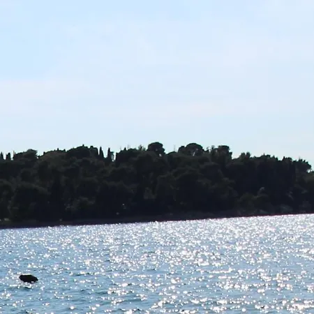 Augustina * Rovinj